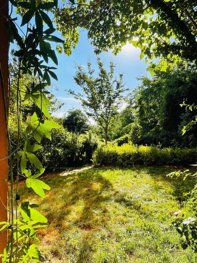 70M2 Romantic Living In The Old Town With Garden Bratislava Exteriér fotografie